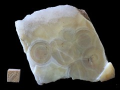k6397