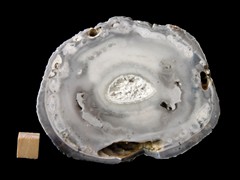 k6419