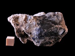 k6564