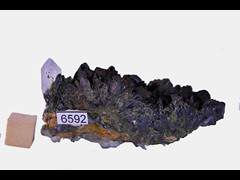 k6592