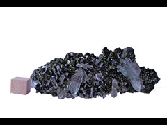 k6593-1