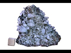 k6595 (2)
