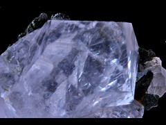 k6596