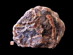 k6664-1