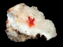 k564
