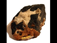 k1010