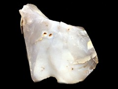 k1036