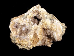 k1106