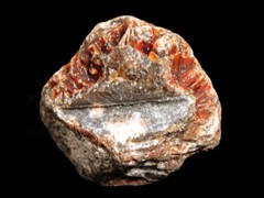 k1119