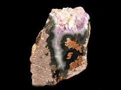k1126