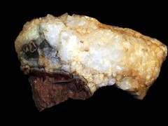 k1131