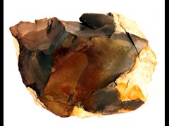 k1141