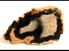 k1157