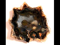 k1176