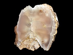 k1179