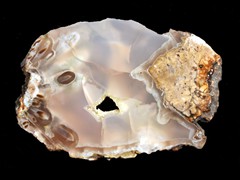 k1181