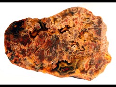 k1184