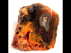 k1189