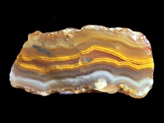 k1193