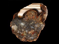 k1221