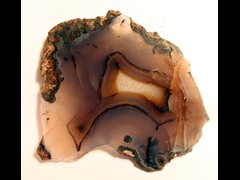 k1237
