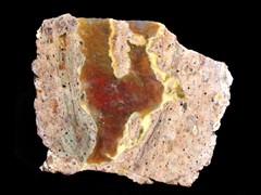 k1262