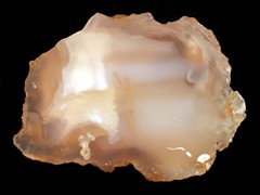 k1263