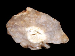 k1266