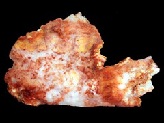 k1297