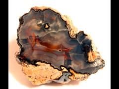 k1316