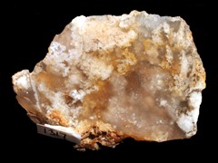 k1317