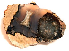 k1319