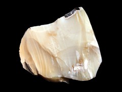 k1359