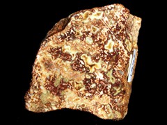 k1373