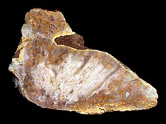 k1394
