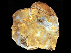k1397