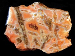 k1413