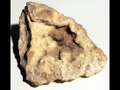 k1442