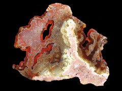 k1449
