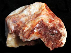 k1466