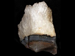 k1469