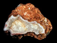 k1491
