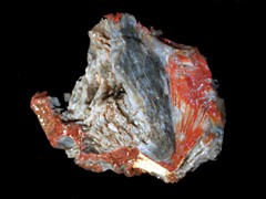 k1536