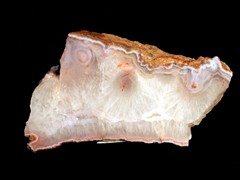 k1565