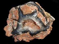 k1601