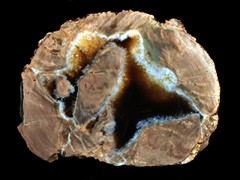 k1613