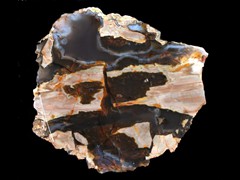 k1618
