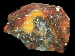 k1629