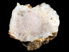 k1649
