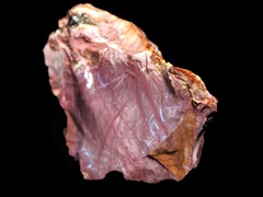 k1655